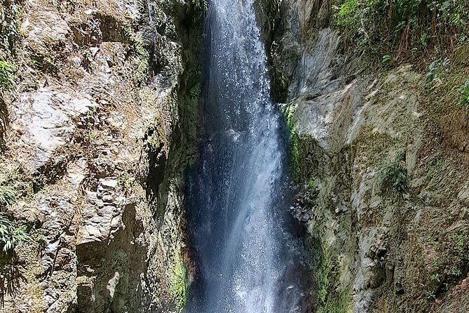 2 Hours Trekking Waterfall Tour in Tobago - Is $156.93 a fair price?