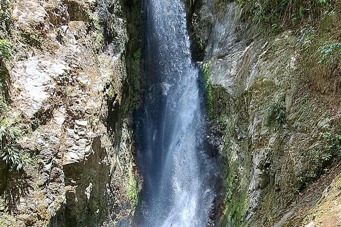 2 Hours Trekking Waterfall Tour in Tobago - Timing, meeting point, and the return trip