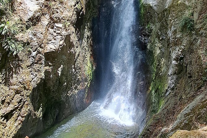 2 Hours Trekking Waterfall Tour in Tobago - What to bring and what to expect