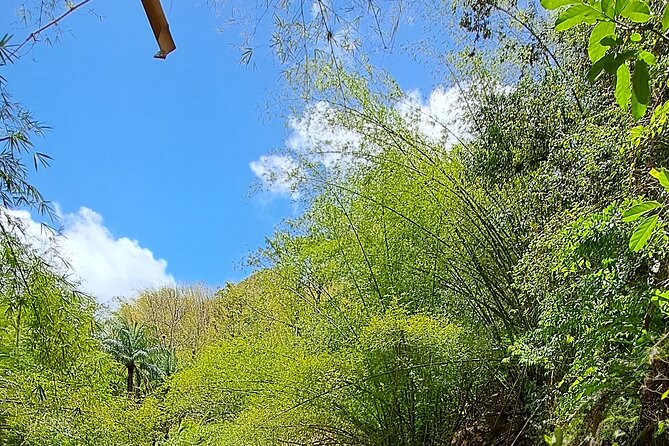 2 Hours Trekking Waterfall Tour in Tobago - Reaching the multi-level waterfall