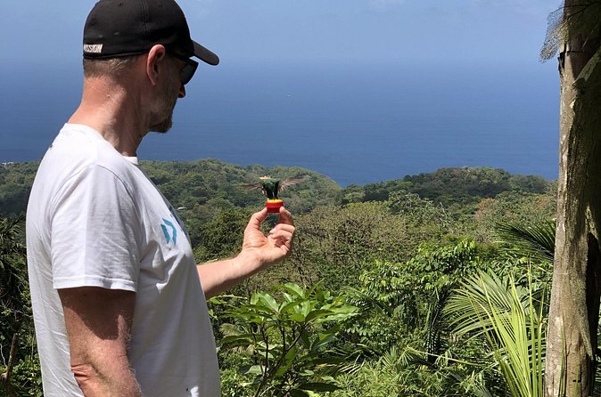 3 Hours Rainforest Walk in Tobago (Private) Lunch + Hummingbirds - What Ellis Clarke adds to the walk