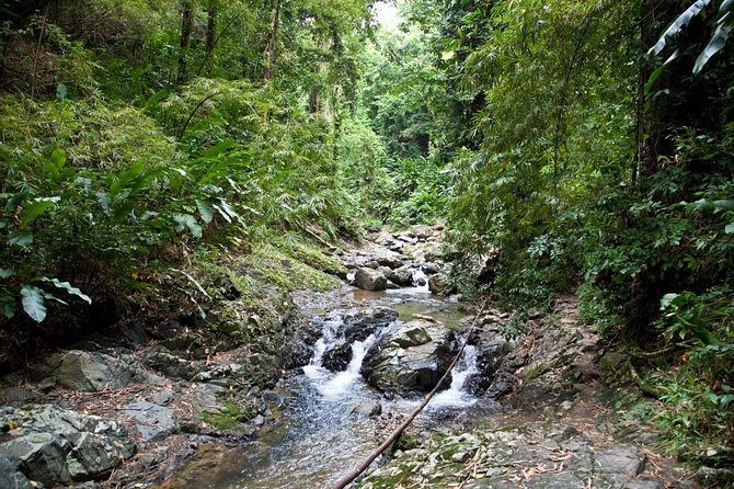 Argyle Waterfall with Adventure Farm - A two-stop look at Tobago’s natural side