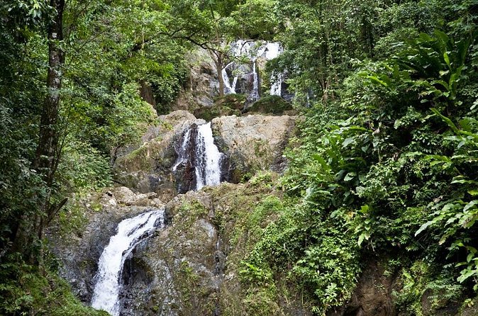 Argyle Waterfall with Adventure Farm - From the falls to Arnos Vale’s Adventure Farm