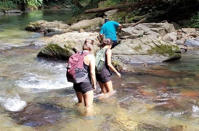 Avocat Waterfall and Beach Tour - What the $105.39 price really covers