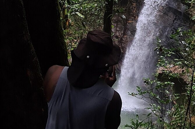 Avocat Waterfall Tour & Beach Stop Adventure - The North Coast drive is part of the day