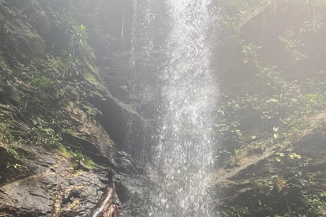 Avocat Waterfall Tour & Beach Stop Package - Who will enjoy this Trinidad outing?