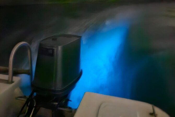 Bioluminescence Tour - What to know about the meeting point
