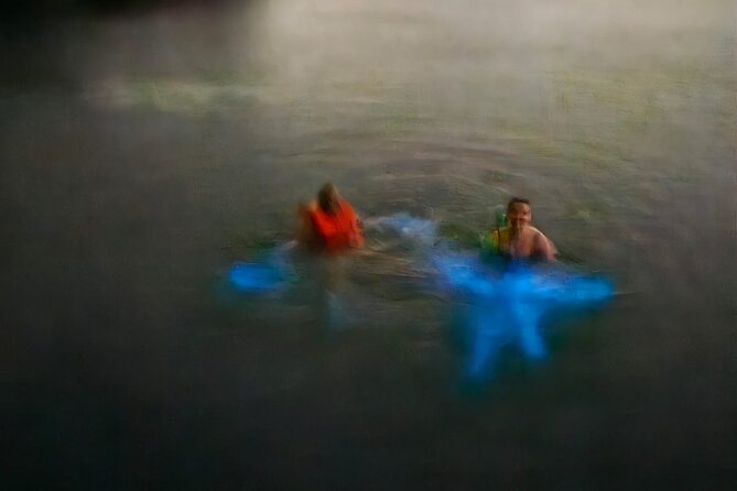 Bioluminescence Tour - The marine life adds more than a bonus
