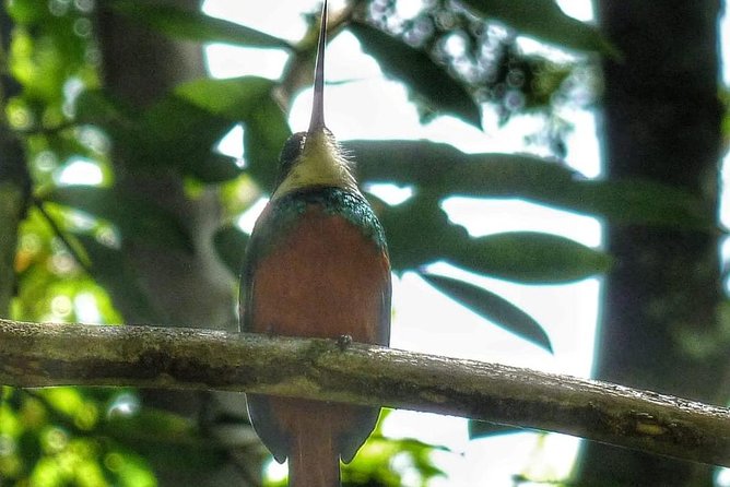 Bird Watching Tours - A flexible plan for different birding interests