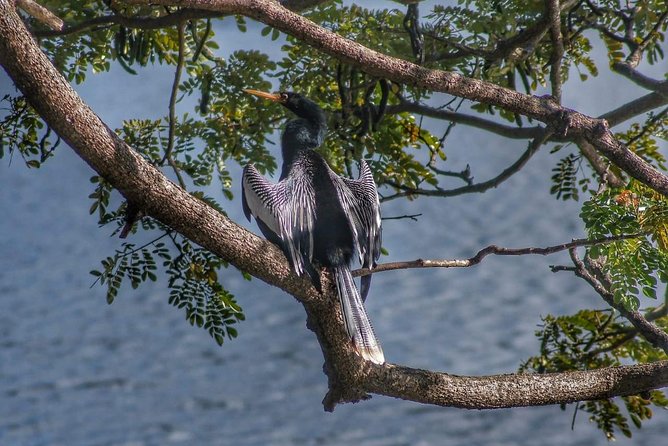 Bird Watching Tours - Why the small group matters
