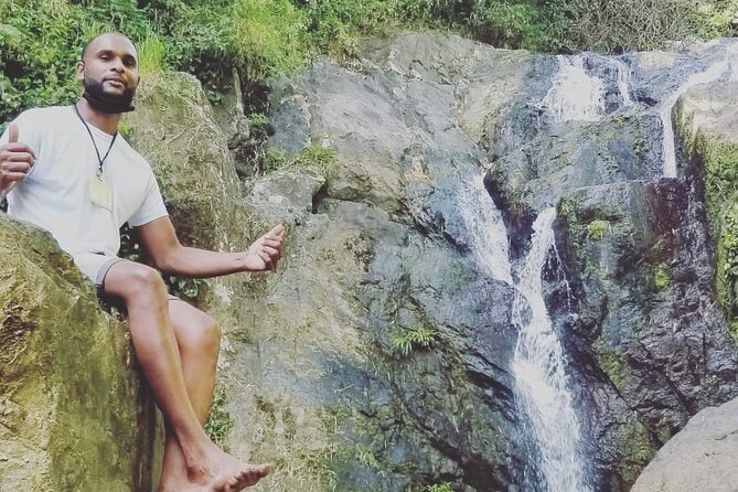 Birdwatching, Waterfall, Rainforest and Island Nature Tours - What $90 buys you in practical terms
