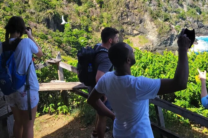 Birdwatching, Waterfall, Rainforest and Island Nature Tours - Who should book this Tobago outing