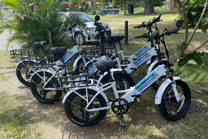 Breeze Through Tobago on an E-bike - The one to four-hour time range
