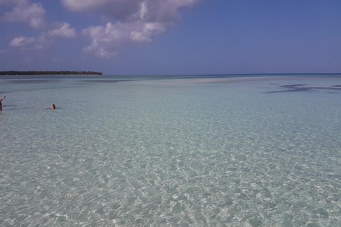 Buccoo Reef and Nylon Pool Adventure - What Makes Buccoo Reef Worth Your Morning