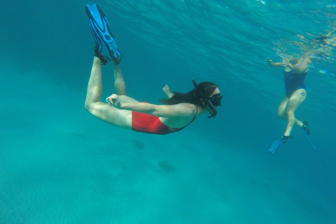 Buccoo Reef and Nylon Pool Adventure - Is $189 a Fair Price?