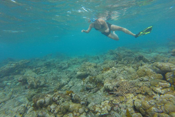 Buccoo Reef and Nylon Pool Adventure - Pickup, Meeting Point, and Timing Need Extra Care