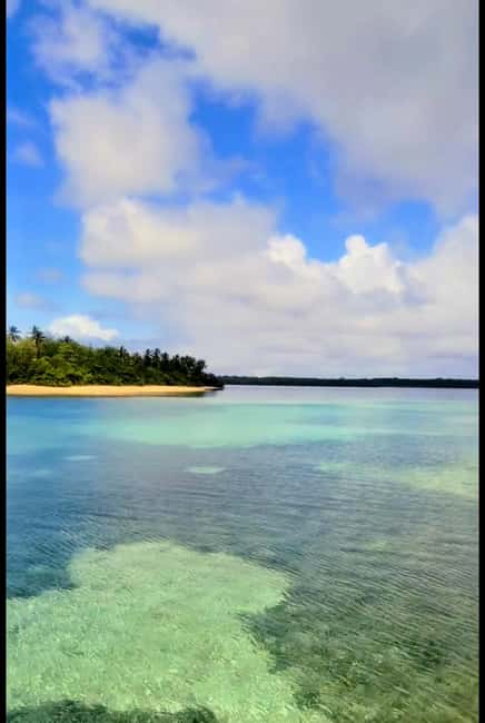 Buccoo Reef Nylon Pool Tour - Captain Phillips - Should You Book Captain Phillips Tours?