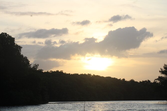 Caroni Bird Sanctuary Tour - Guide quality makes a real difference