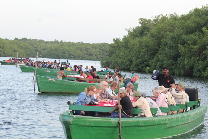 Caroni Bird Sanctuary Tour - Comfort, clothing, and useful gear