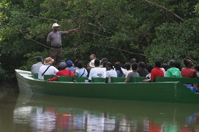 Caroni Bird Sanctuary Tour - From hotel pickup to the Caroni Swamp