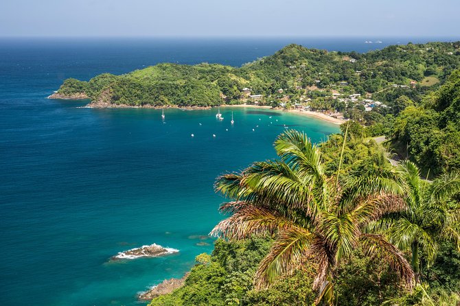 Castara Bay Day Trip with Lunch - Key points to know before booking