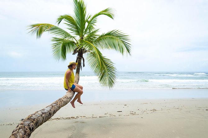 Coastal Tour of Trinidad - Key points to know before you book