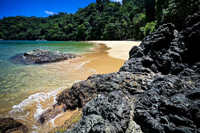 Coastline Snorkel and BBQ - Key Points to Know Before You Go
