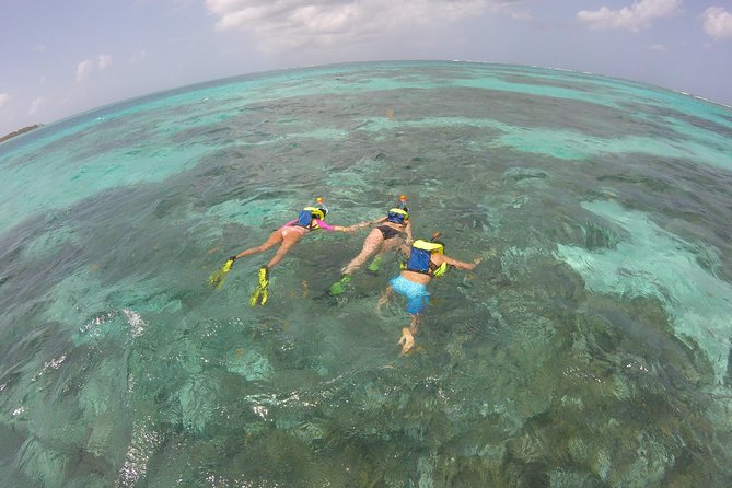Coastline Snorkel and BBQ - Snorkeling Over Tobago’s Coral Reef