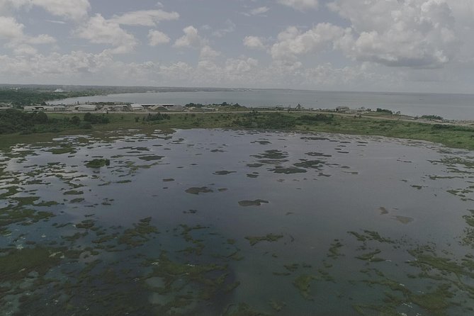 Down South Tour of Trinidad - The sulfur pools and what to expect