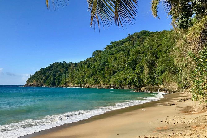 Englishman's Bay Day Trip with Lunch - Why private, air-conditioned transport matters