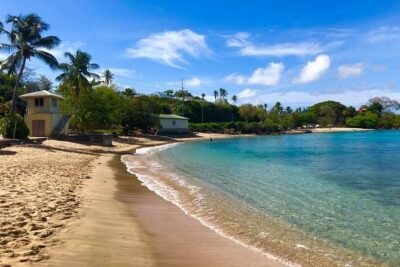 Englishman’s Bay Day Trip with Lunch