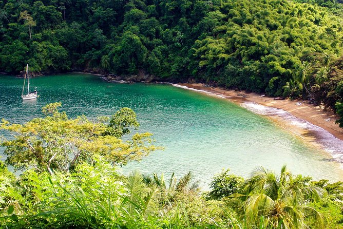 Englishman's Bay Day Trip with Lunch - Snorkeling, swimming, and what to bring