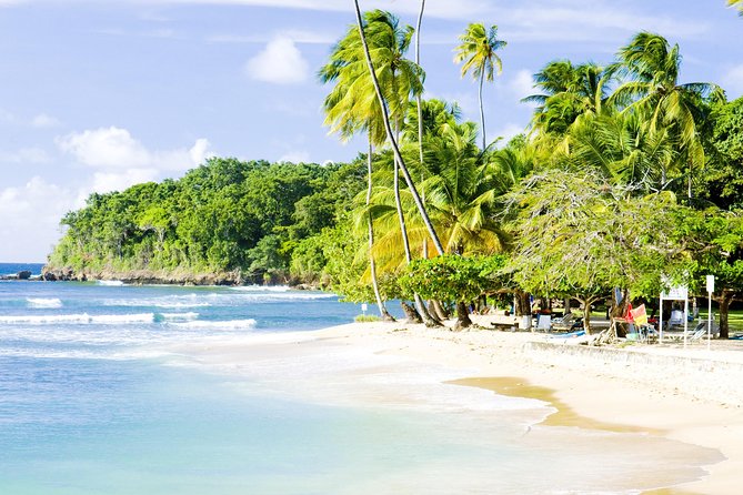 Englishman's Bay Day Trip with Lunch - Caribbean lunch and the real value of $185