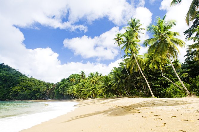Englishman's Bay Day Trip with Lunch - Who will get the most from this Tobago outing?