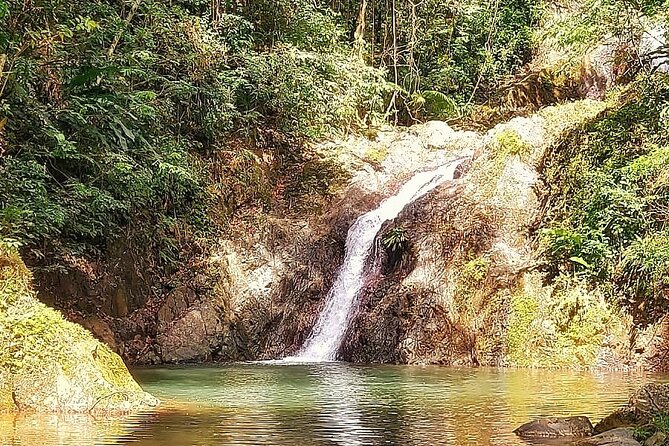 Full Day Group Tour in Tobago Atlantic Coast - Speyside pairs mountain views with turquoise water