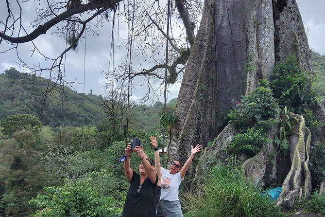 Full Day Tour in Tobago Island with Lunch - From the Atlantic coast to the Caribbean side