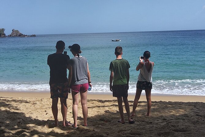 Full Day Tour in Tobago Island with Lunch - Beaches and waterfalls add a change of pace