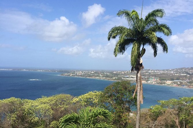 Full Island Tour (Including Lunch & Snorkeling) - One long day from Fort King George to Pirate Bay