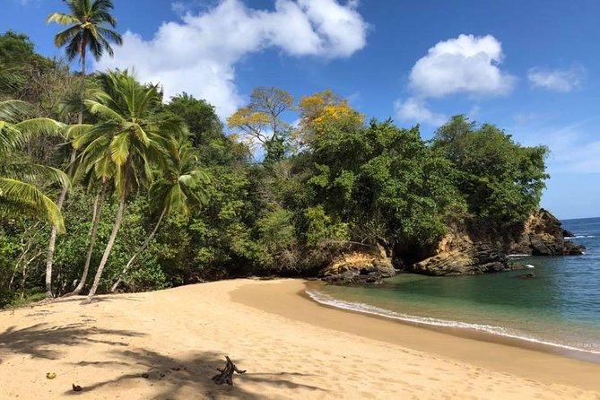Full Island Tour (Including Lunch & Snorkeling) - Fort King George puts Tobago’s past first
