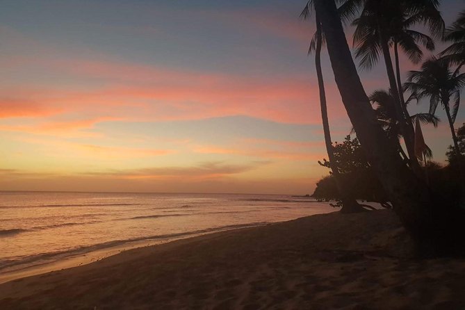 Full Island Tour (Including Lunch & Snorkeling) - The road back shows Tobago’s Caribbean side