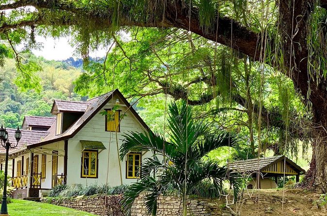 Half-day 3-Course Cocoa Lunch Tour in Trinidad - Hummingbirds, cocoa trees, and the value of the setting