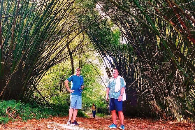 Half Day Group Tour to Tobago Atlantic Coast - What to bring and what to confirm