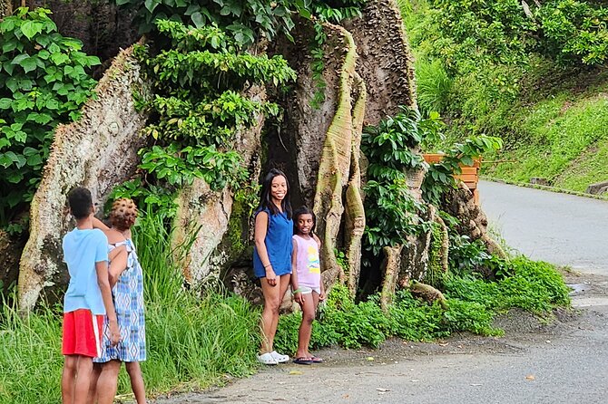 Half Day Tobago Tours with Transfers - Key points to know before you book