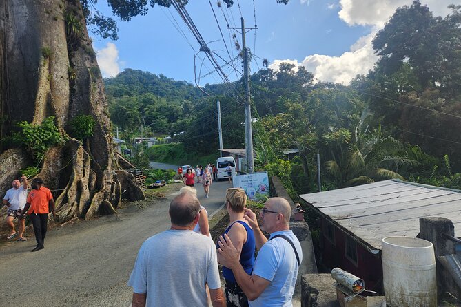 Half Day Tobago Tours with Transfers - A full day of Tobago in one private car