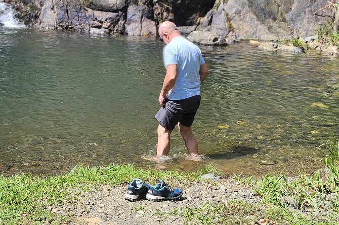 Half Day Tobago Tours with Transfers - Parlatuvier and the optional hummingbirds