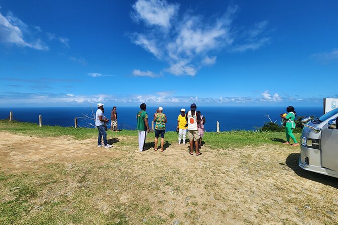 Half Day Tobago Tours with Transfers - Kings Bay Waterfall at Delaford
