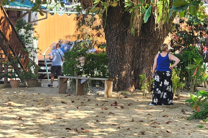Half Day Tobago Tours with Transfers - Mt Dillion and the Castara view