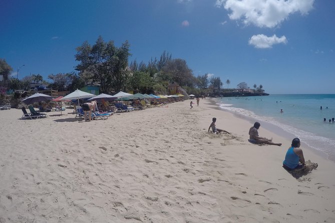 Highlights of Tobago Tour - The guide can make or break the morning