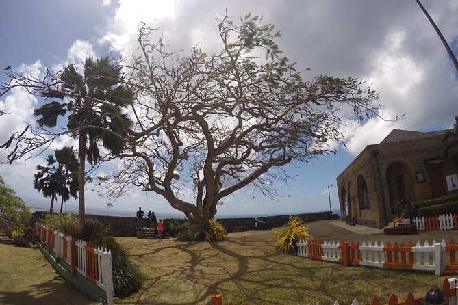 Highlights of Tobago Tour - Pickup, timing, and port concerns