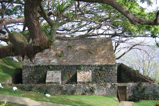 Highlights of Tobago Tour - Who gets the best value from $75